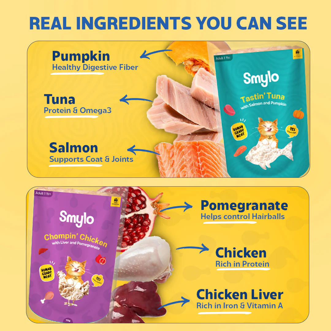 Smylo Adult Variety Combo, Tuna, Chicken & Mackerel, Fresh & No-Preservative Wet Cat Food - Image 6