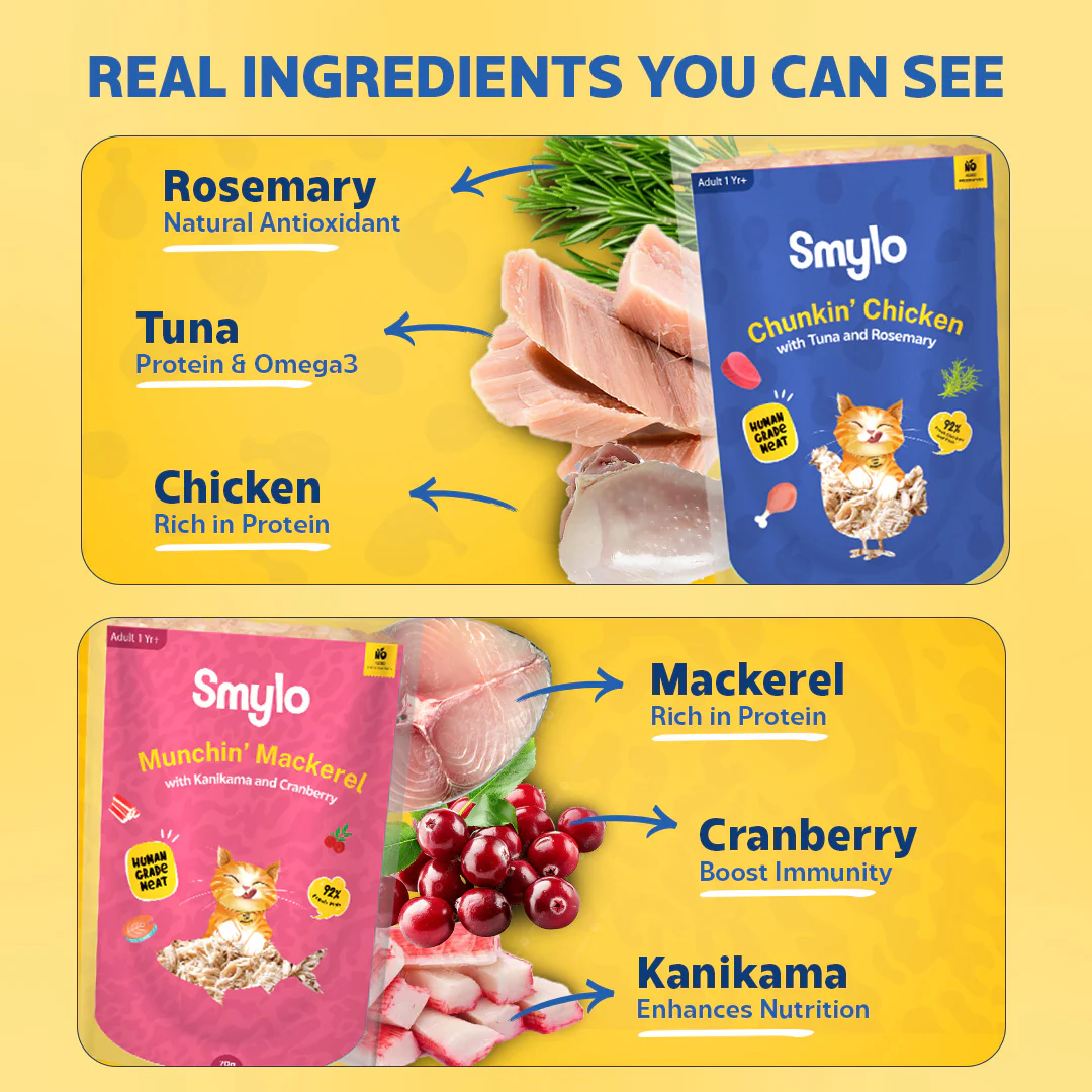 Smylo Adult Variety Combo, Tuna, Chicken & Mackerel, Fresh & No-Preservative Wet Cat Food - Image 7