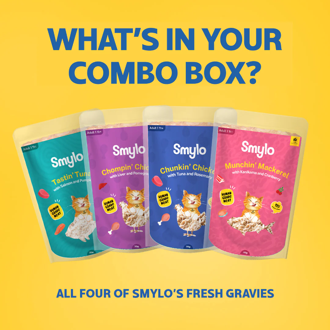 Smylo Adult Variety Combo, Tuna, Chicken & Mackerel, Fresh & No-Preservative Wet Cat Food - Image 8