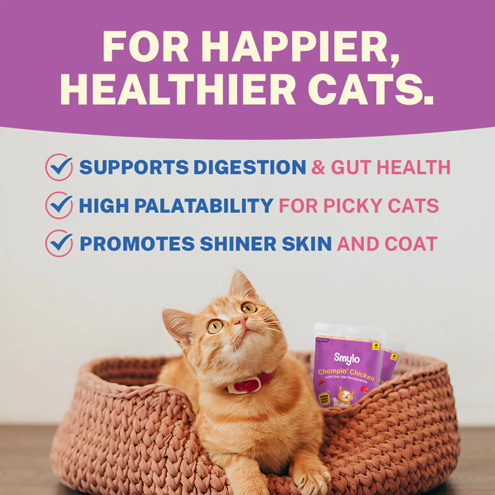 Smylo Adult Chicken & Liver, Pomegranate, Fresh & No-Preservative Wet Cat Food - Image 6