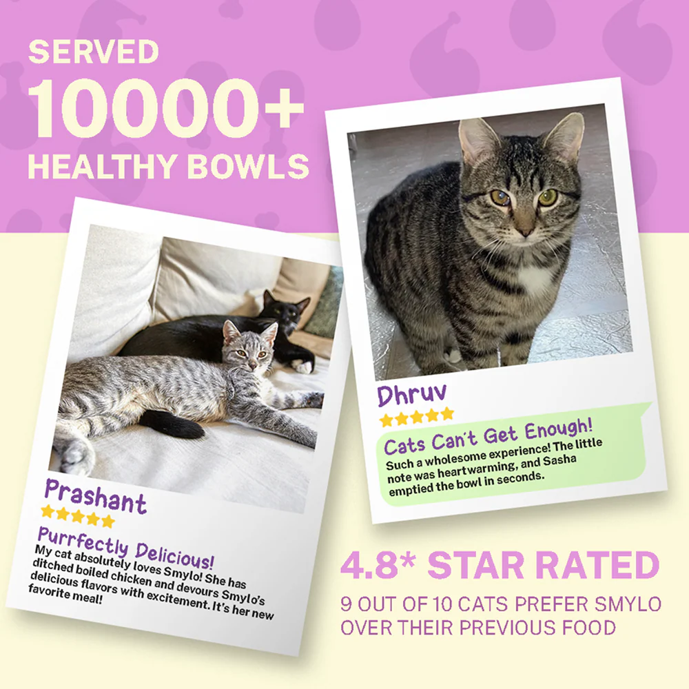Smylo Adult Chicken & Liver, Pomegranate, Fresh & No-Preservative Wet Cat Food - Image 8