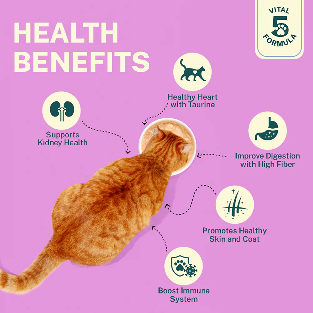 Smylo Adult Chicken & Liver, Pomegranate, Fresh & No-Preservative Wet Cat Food - Image 9