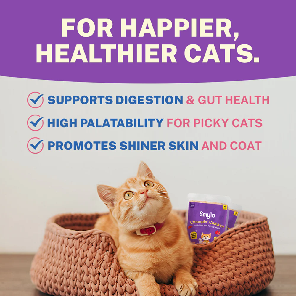 Smylo Kitten Chicken & Liver, Pomegranate, Fresh & No-Preservative Wet Cat Food - Image 5