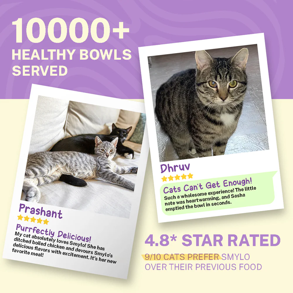 Smylo Kitten Chicken & Liver, Pomegranate, Fresh & No-Preservative Wet Cat Food - Image 7