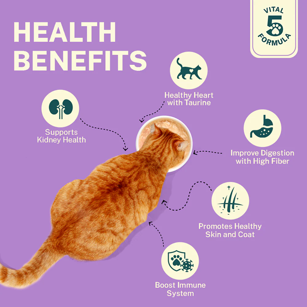 Smylo Kitten Chicken & Liver, Pomegranate, Fresh & No-Preservative Wet Cat Food - Image 8