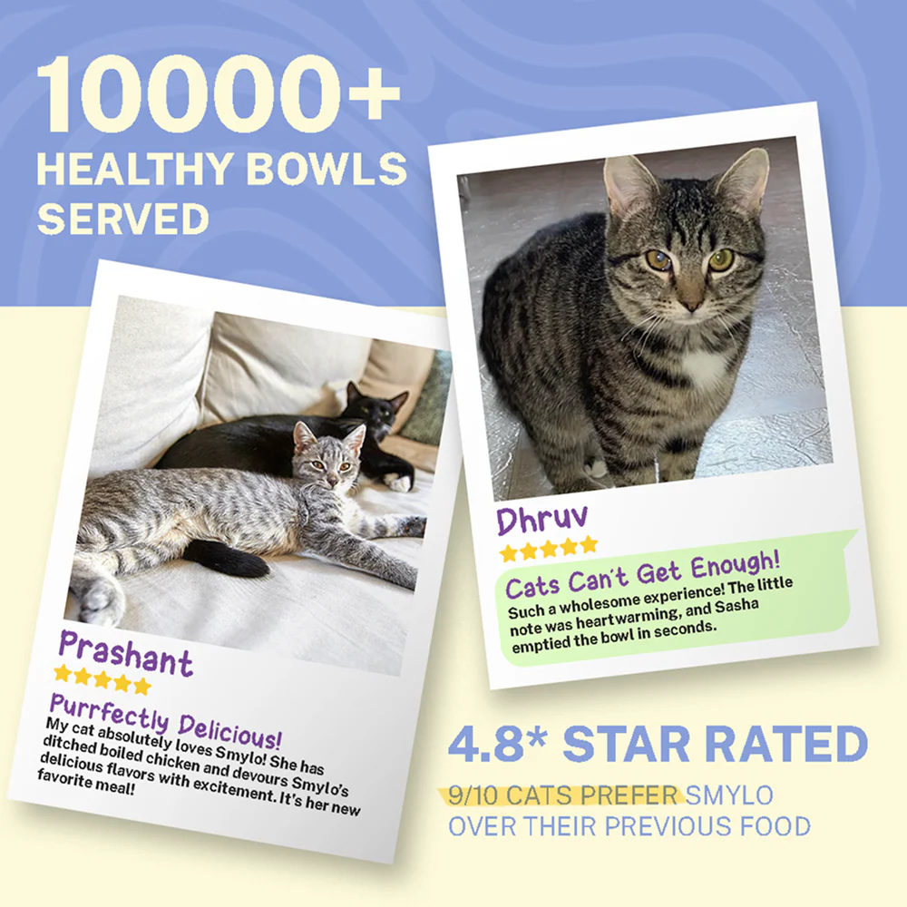 Smylo Adult Chicken Tuna & Rosemary, Fresh & No-Preservative Wet Cat Food - Image 6