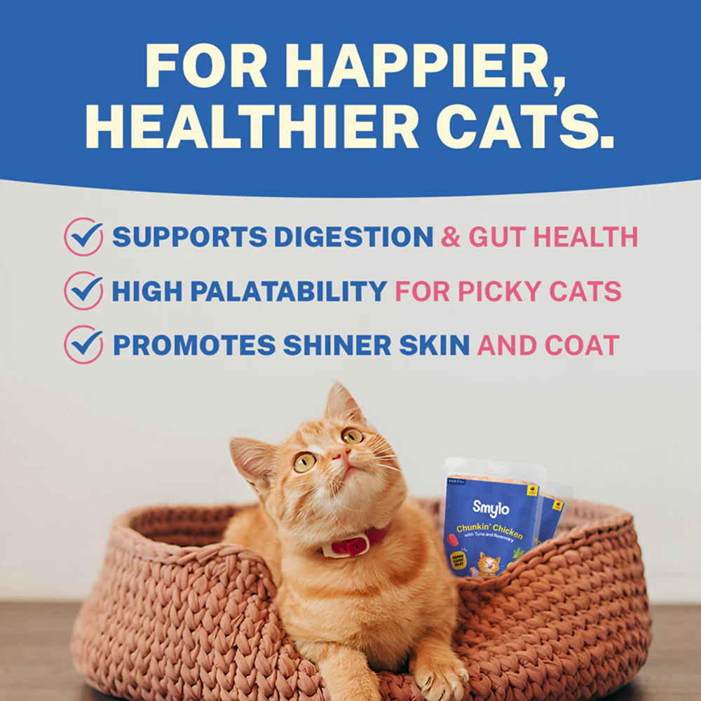 Smylo Adult Chicken Tuna & Rosemary, Fresh & No-Preservative Wet Cat Food - Image 8