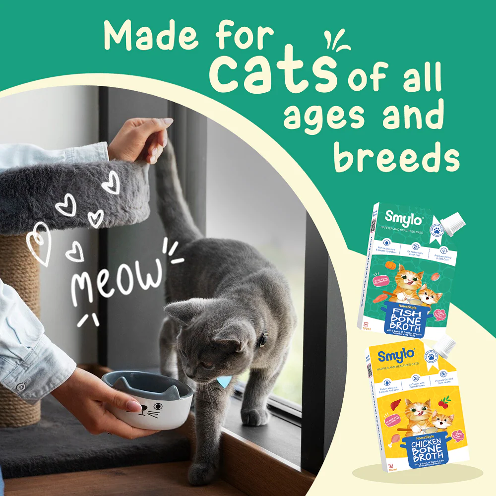 Smylo Hydration Rich Fish with Pumpkin, Broccoli and Raspberry Bone Broth for Cats - Image 6