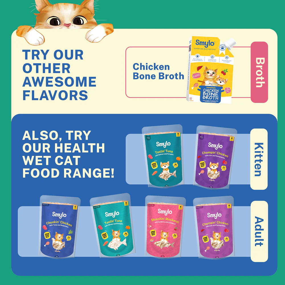 Smylo Hydration Rich Fish with Pumpkin, Broccoli and Raspberry Bone Broth for Cats - Image 7