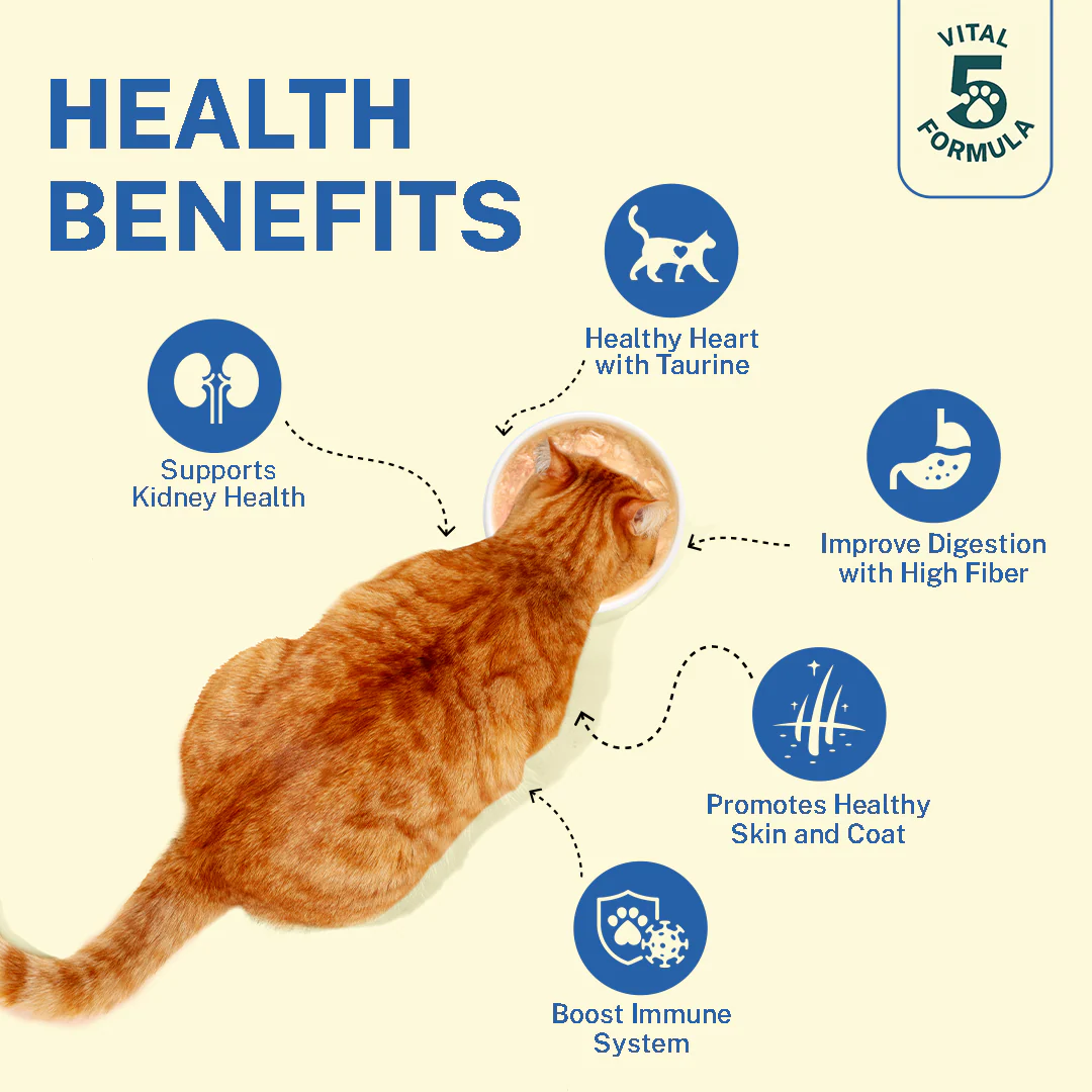 Smylo Kitten Variety Combo, Tuna & Chicken, Fresh & No-Preservative Wet Cat Food - Image 4