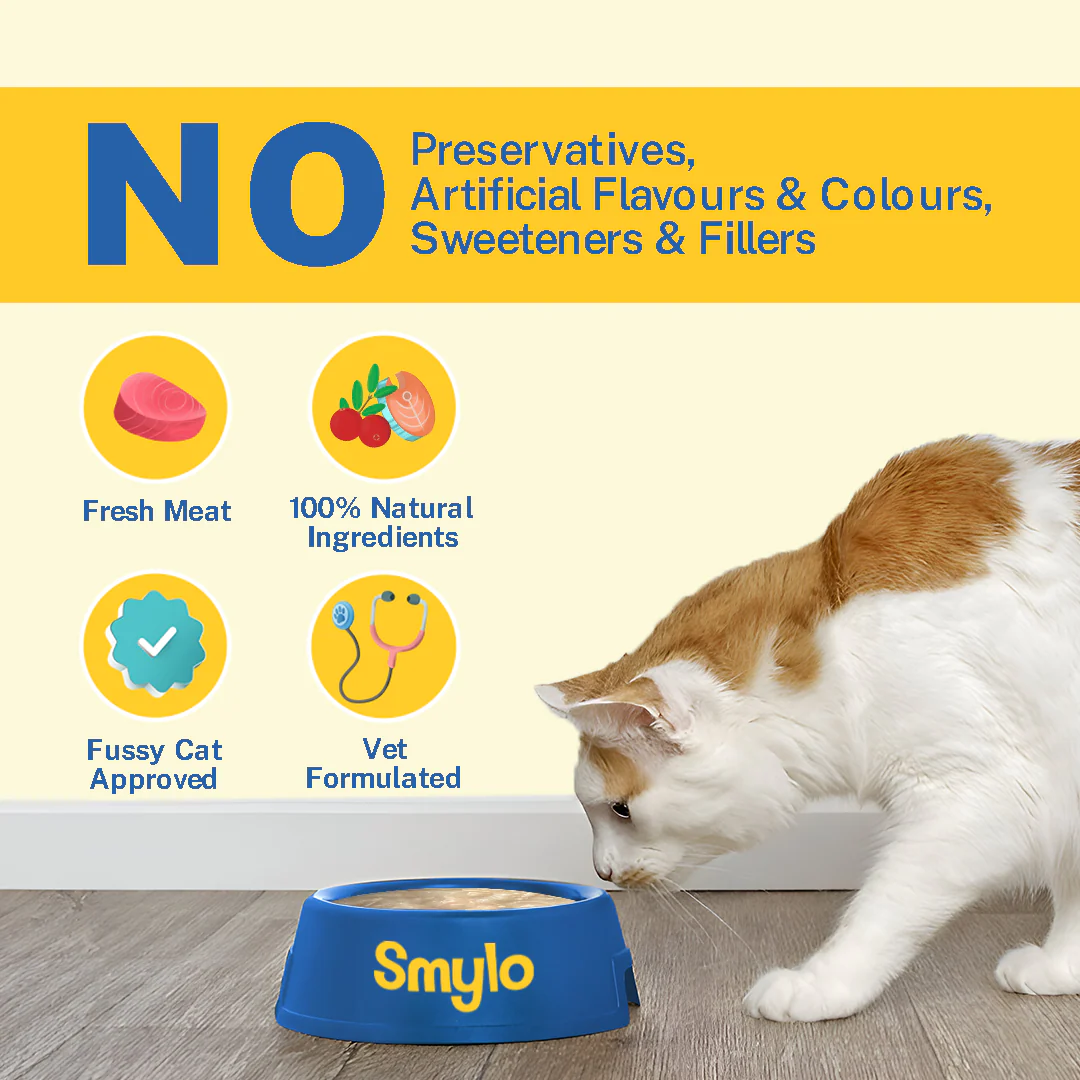 Smylo Kitten Variety Combo, Tuna & Chicken, Fresh & No-Preservative Wet Cat Food - Image 5