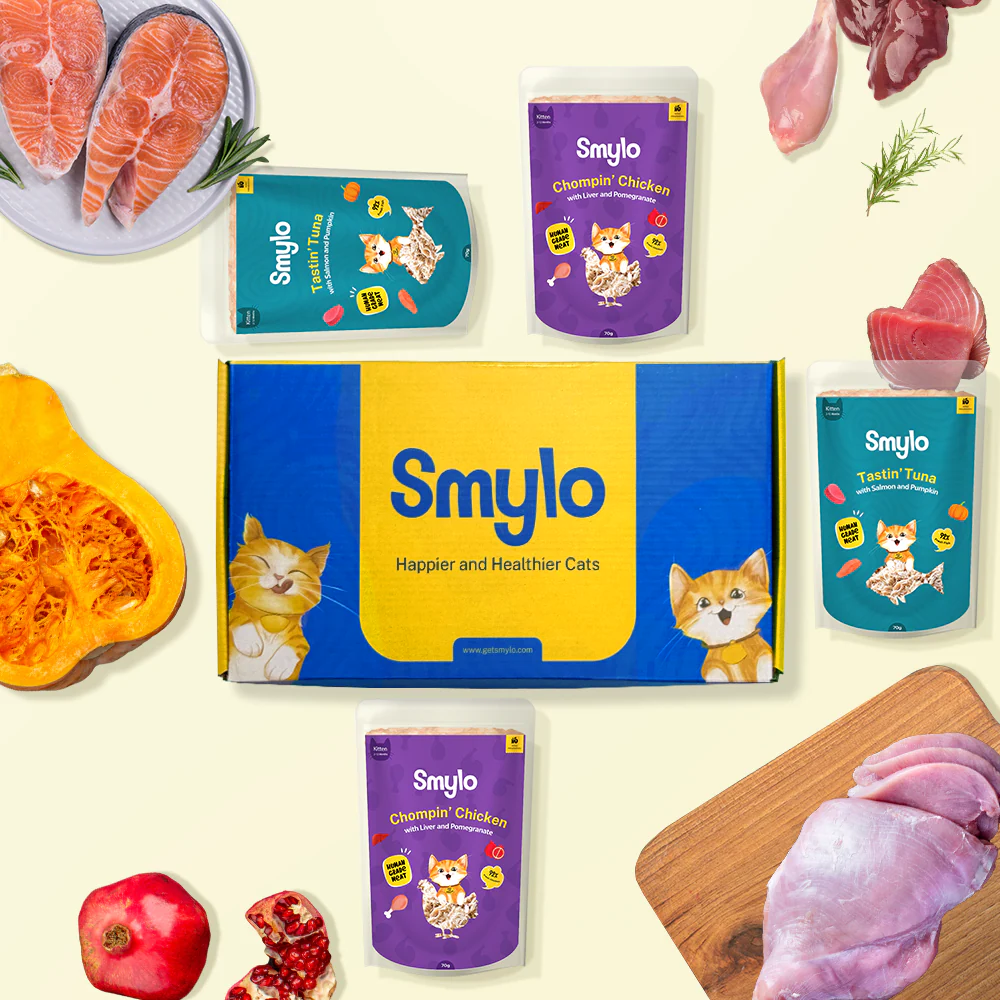 Smylo Kitten Variety Combo, Tuna & Chicken, Fresh & No-Preservative Wet Cat Food - Image 6