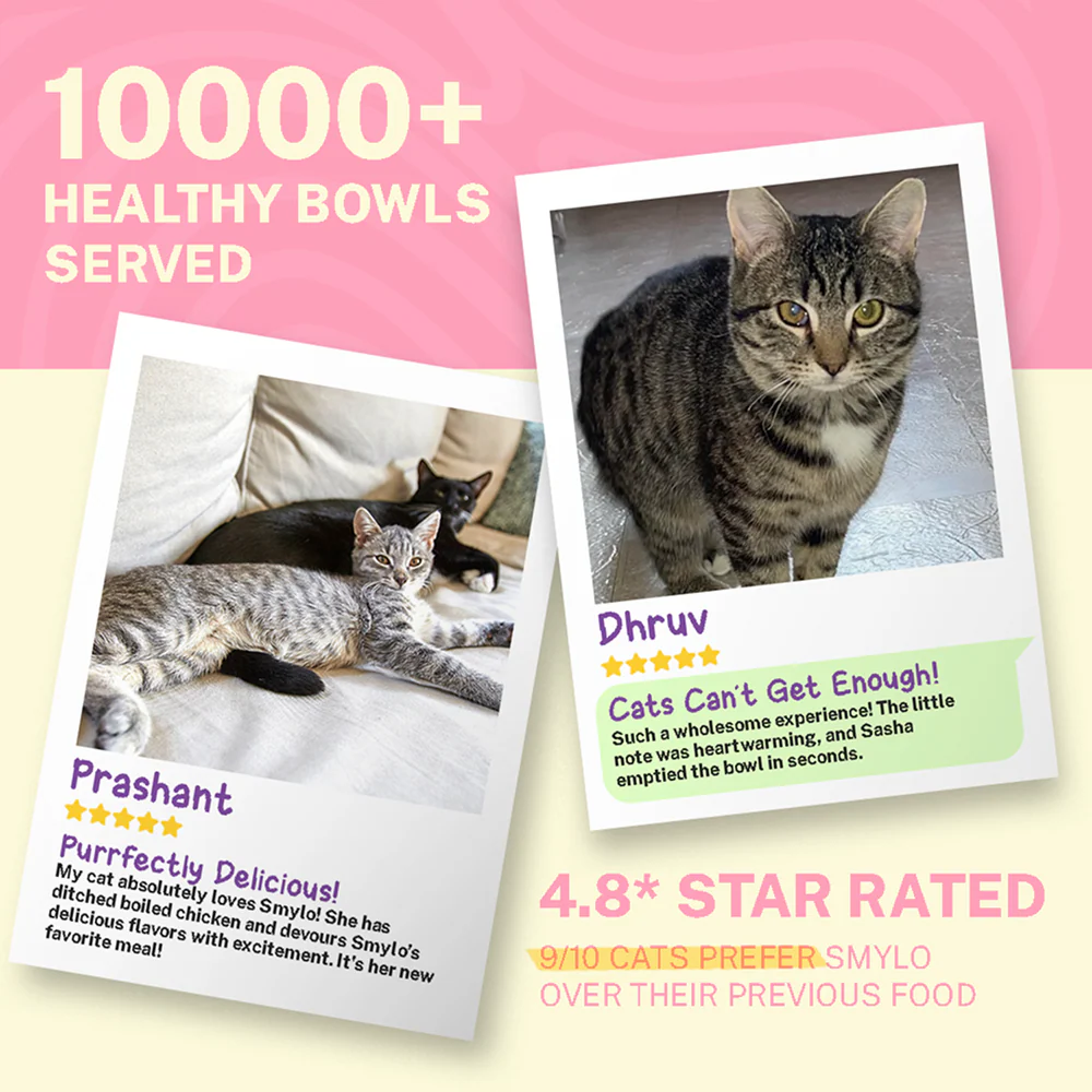 Smylo Adult Mackerel Kanikama & Cranberry, Fresh & No-Preservative Wet Cat Food - Image 6