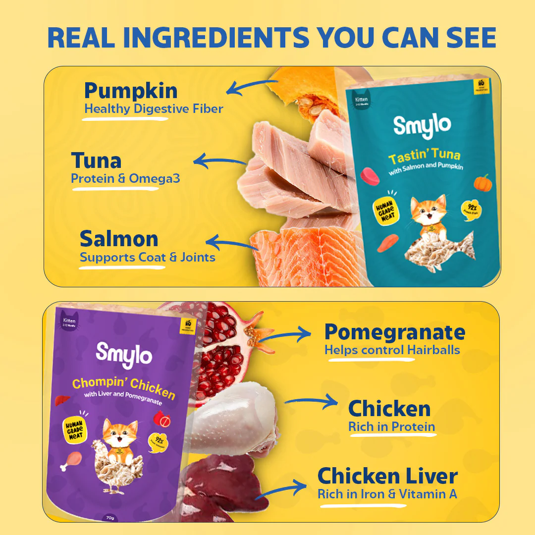 Smylo Kitten Trial Box, Tuna & Chicken, Fresh & No-Preservative Wet Cat Food - Image 5