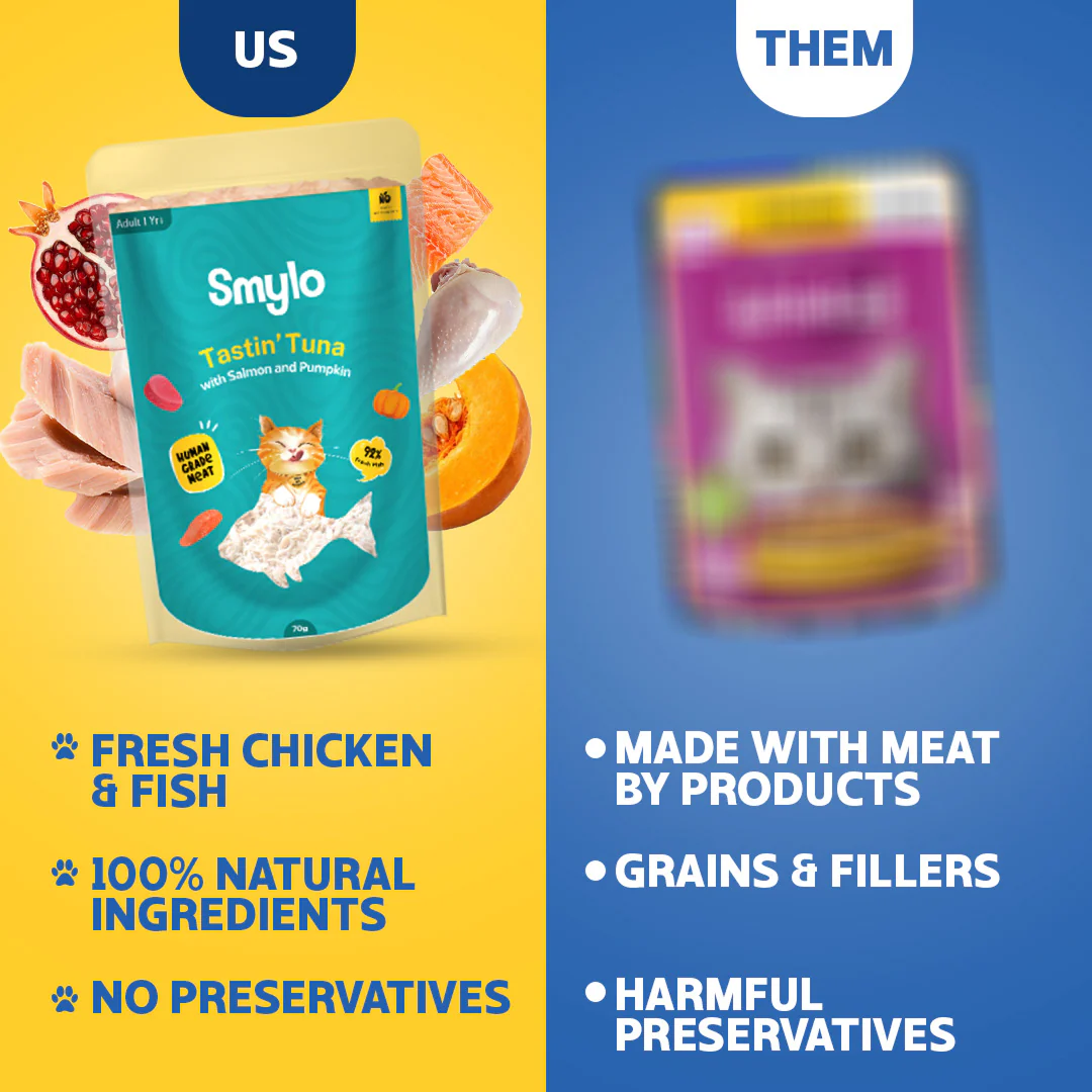 Smylo Kitten Trial Box, Tuna & Chicken, Fresh & No-Preservative Wet Cat Food - Image 6