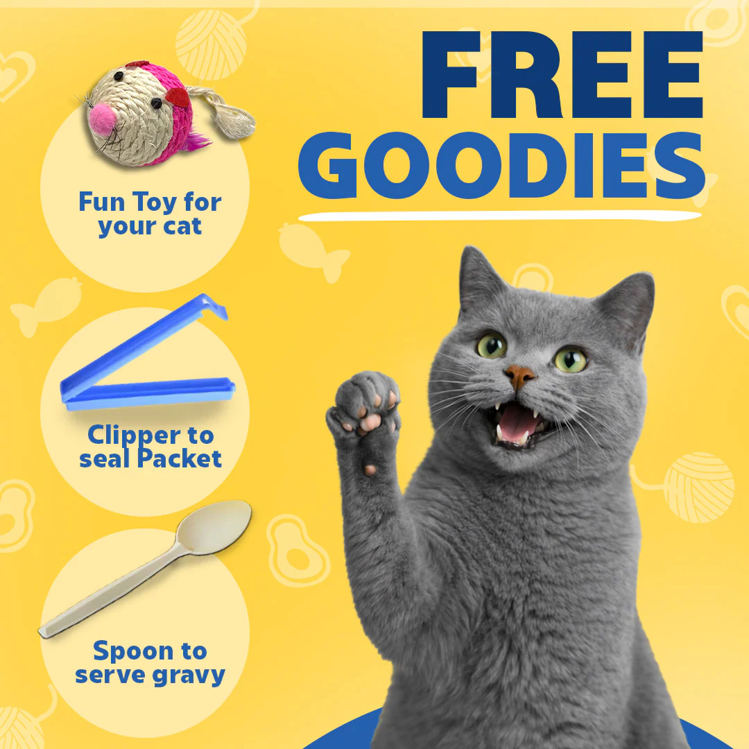 Smylo Kitten Trial Box, Tuna & Chicken, Fresh & No-Preservative Wet Cat Food - Image 7
