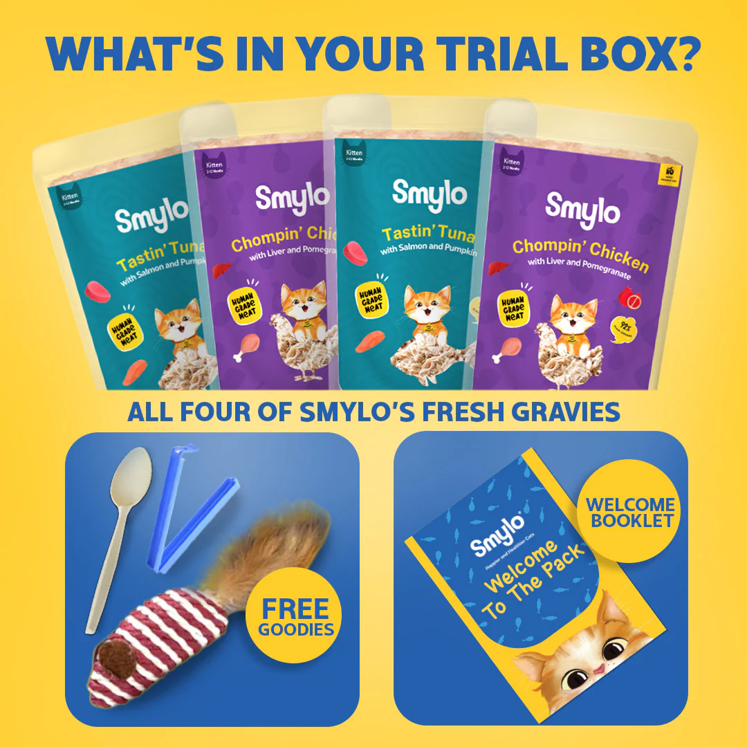 Smylo Kitten Trial Box, Tuna & Chicken, Fresh & No-Preservative Wet Cat Food - Image 8