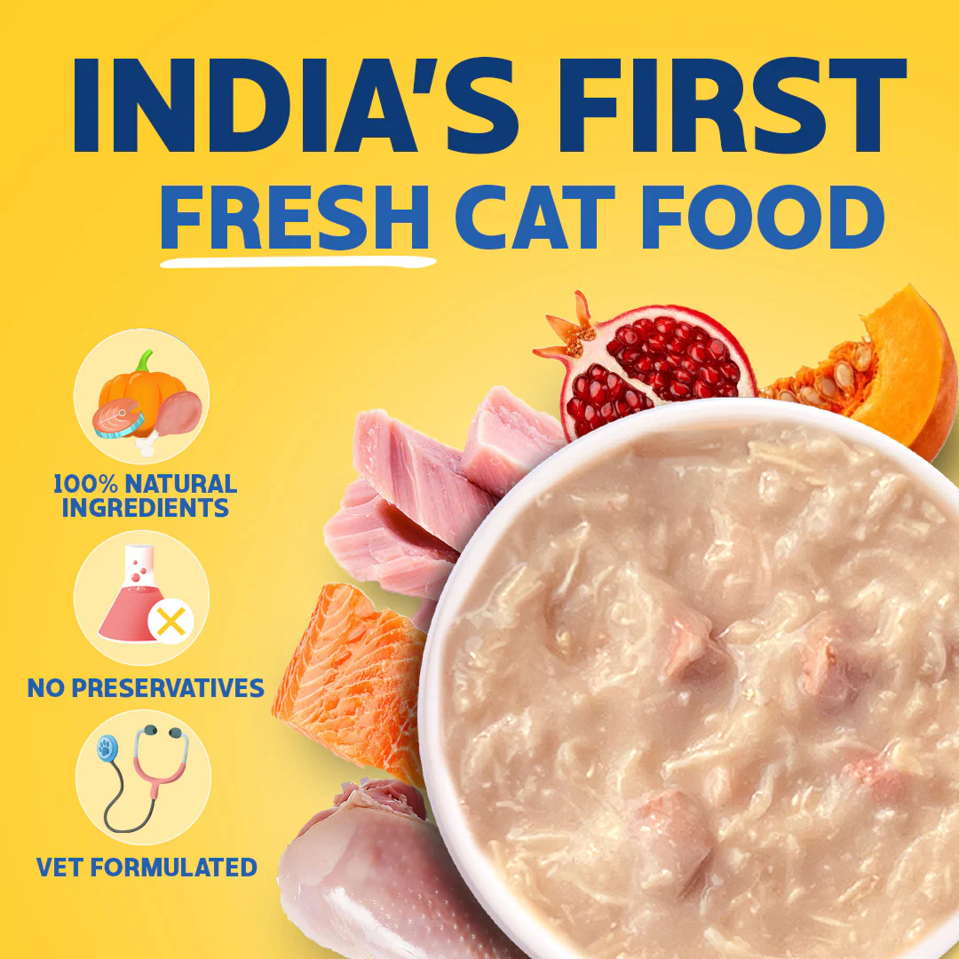 Smylo Adult Trial Box, Tuna, Chicken & Mackerel, Fresh & No-Preservative Wet Cat Food - Image 3