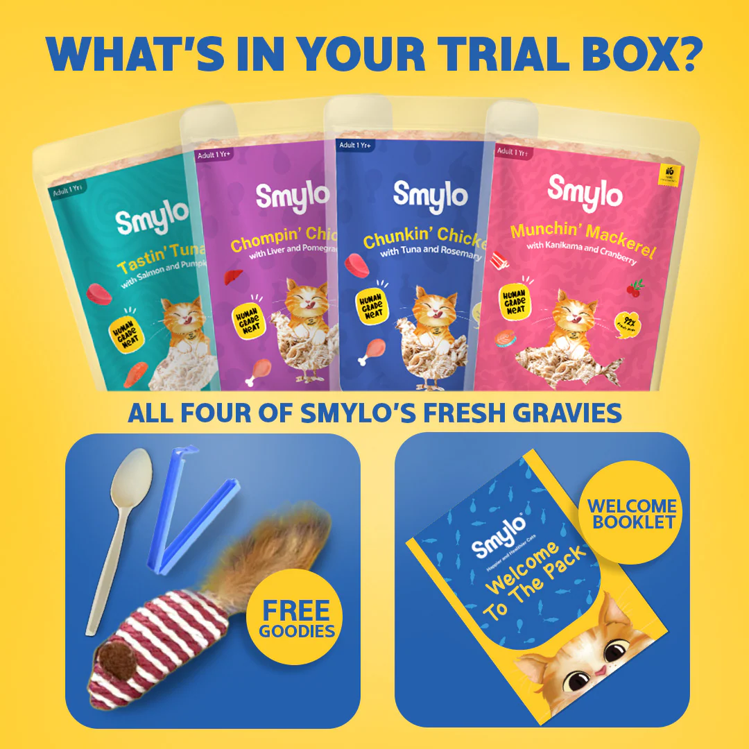 Smylo Adult Trial Box, Tuna, Chicken & Mackerel, Fresh & No-Preservative Wet Cat Food - Image 8