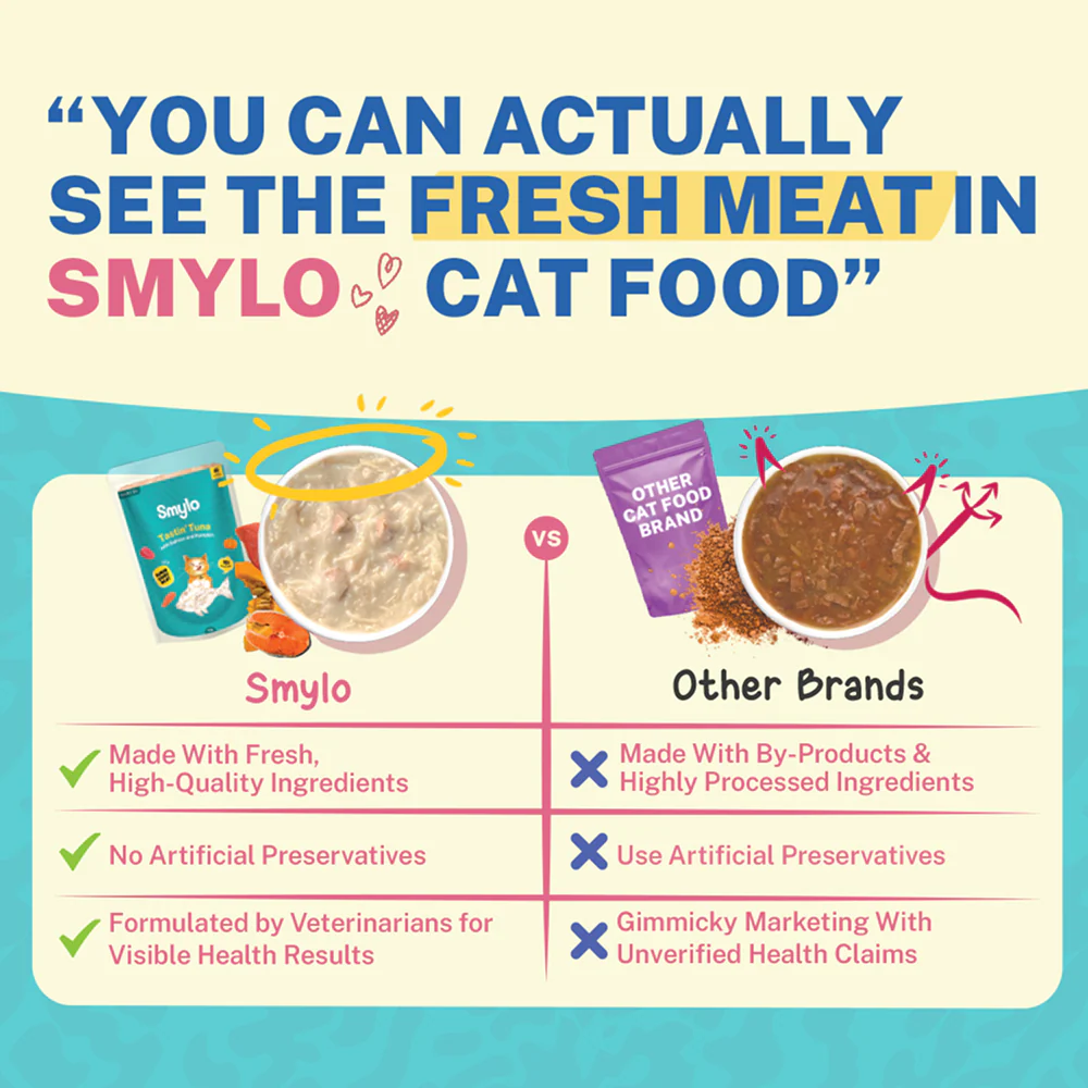 Smylo Kitten Tuna Salmon, Pumpkin, Fresh & No-Preservative Wet Cat Food - Image 4