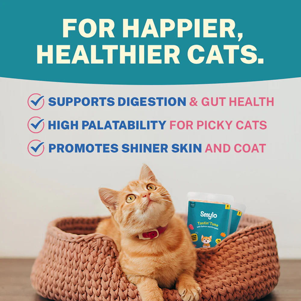 Smylo Kitten Tuna Salmon, Pumpkin, Fresh & No-Preservative Wet Cat Food - Image 5