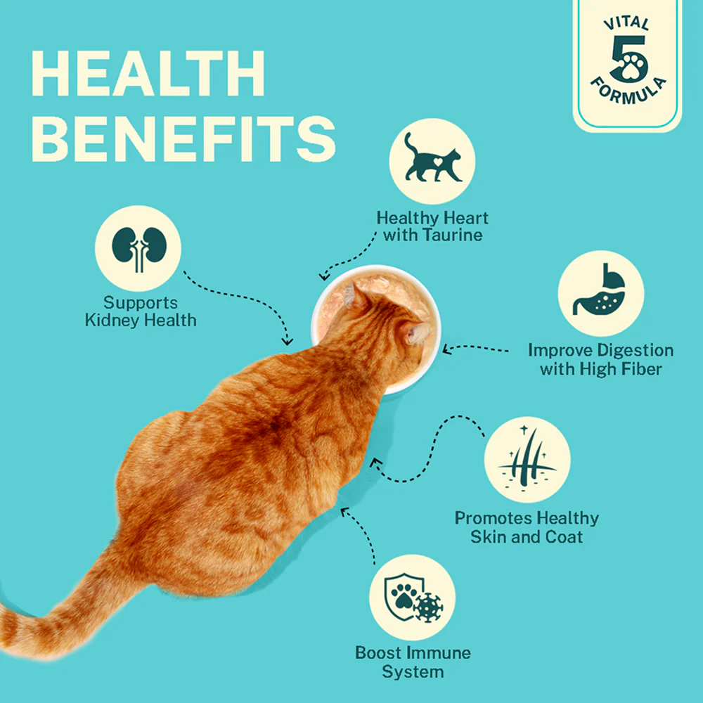 Smylo Kitten Tuna Salmon, Pumpkin, Fresh & No-Preservative Wet Cat Food - Image 8