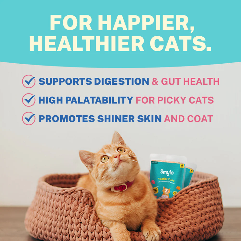 Smylo Adult Tuna Salmon & Pumpkin, Fresh & No-Preservative Wet Cat Food - Image 8