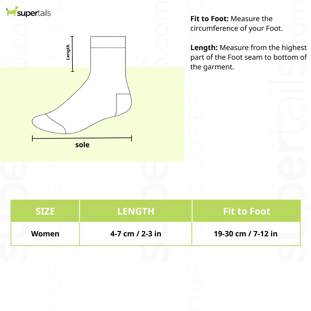 SocksXpress We Bare Bears Themed Ankle Socks for Women (Pack of 3) - Image 2