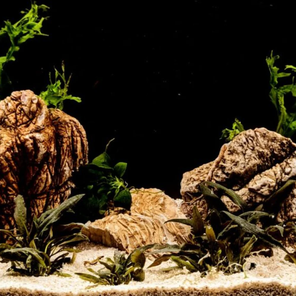 Splashy Fin Elepahant Rock for Aquarium - Image 2