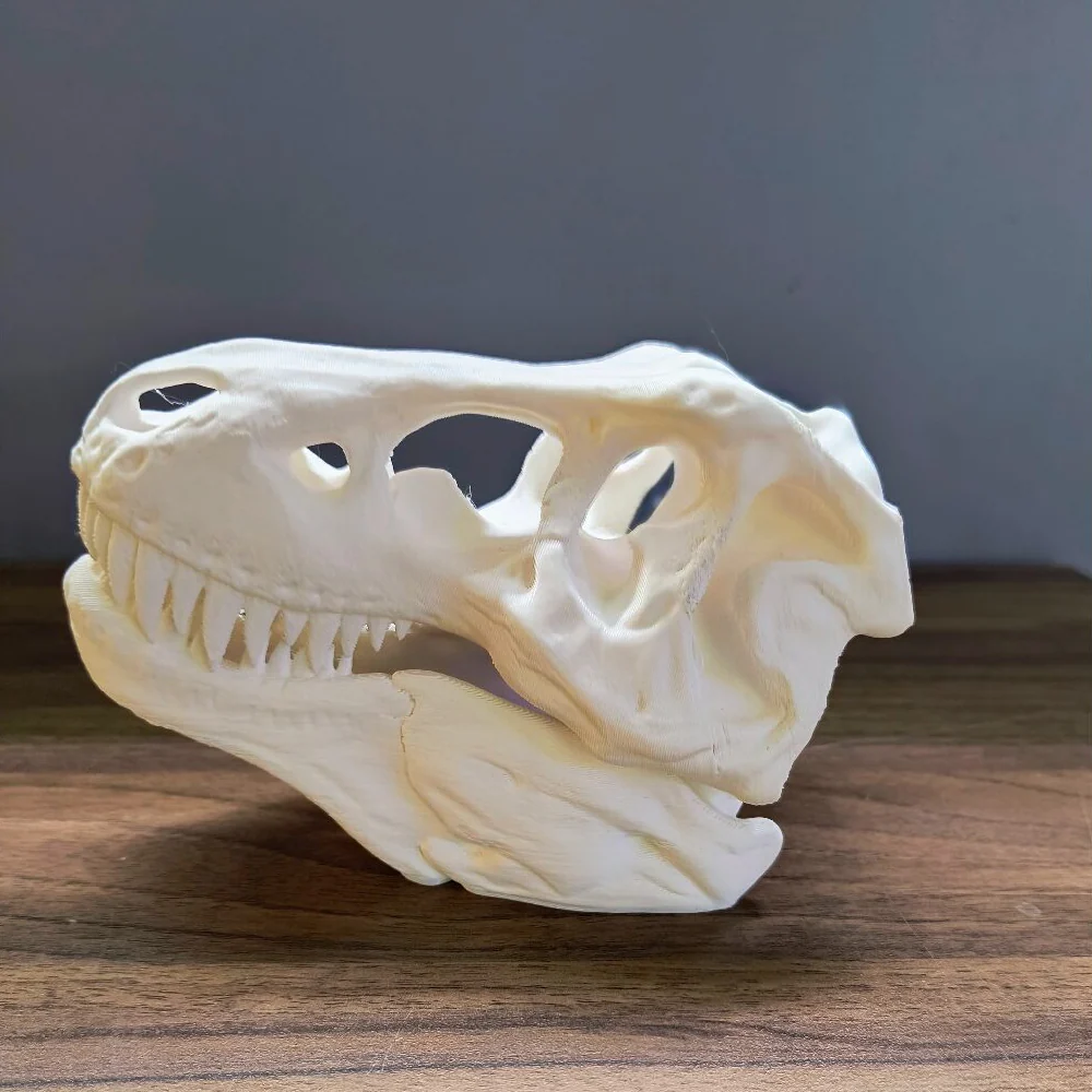 Splashy Fin Trex Skull Miniature for Aquarium - Image 2