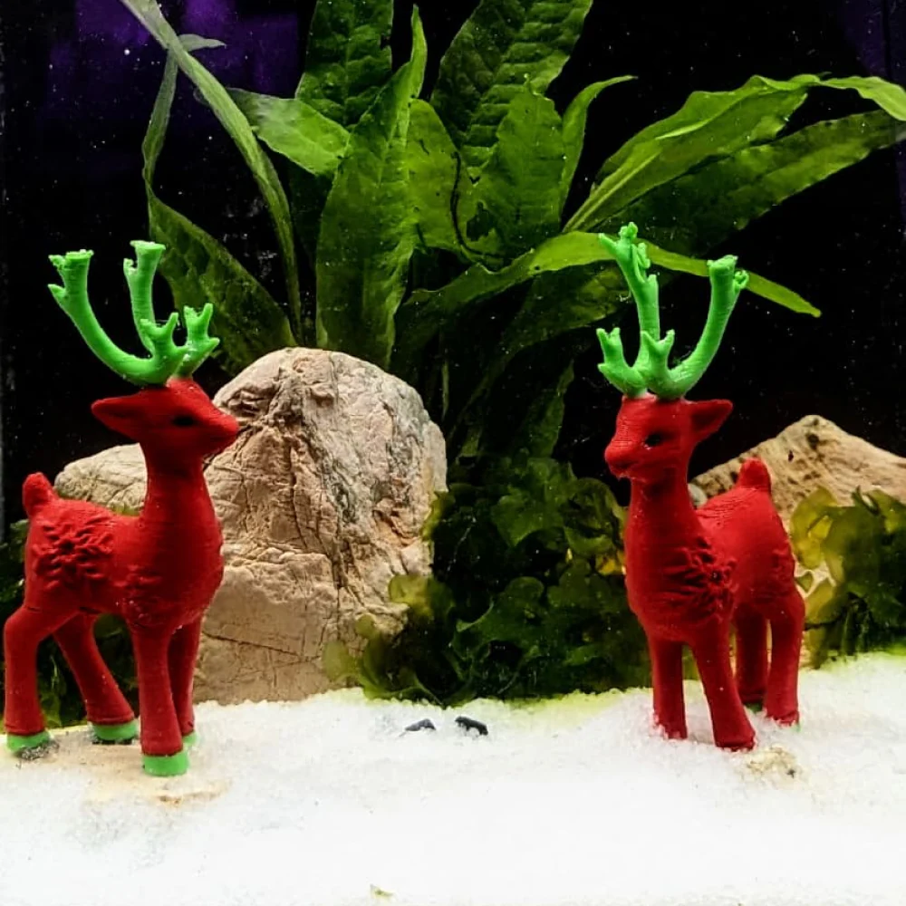 Splashy Fin White Sugar Sand for Aquarium - Image 2