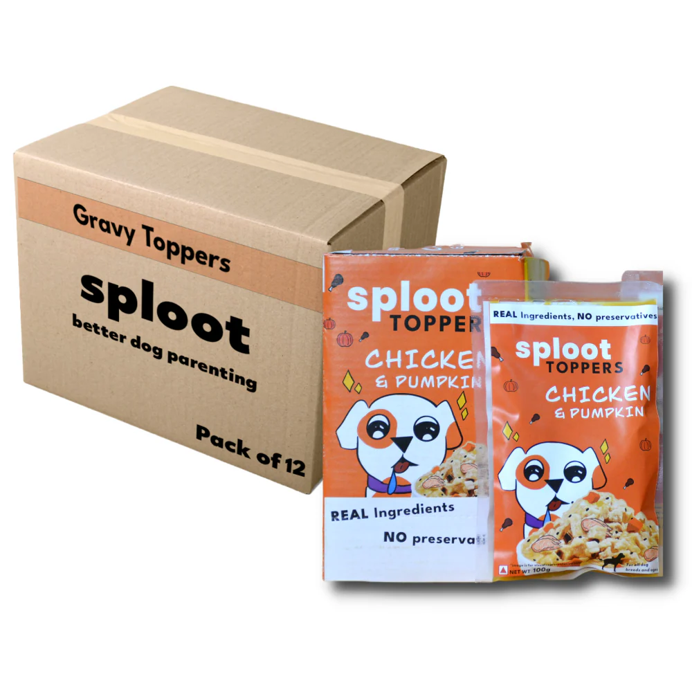 Sploot Chicken and Pumpkin Flavour Real Chicken Chunk in Gravy Dog Wet Food - Image 2