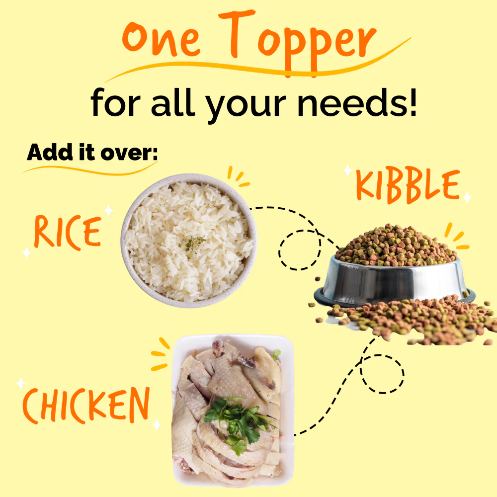 Sploot Chicken and Pumpkin Flavour Real Chicken Chunk in Gravy Dog Wet Food - Image 3