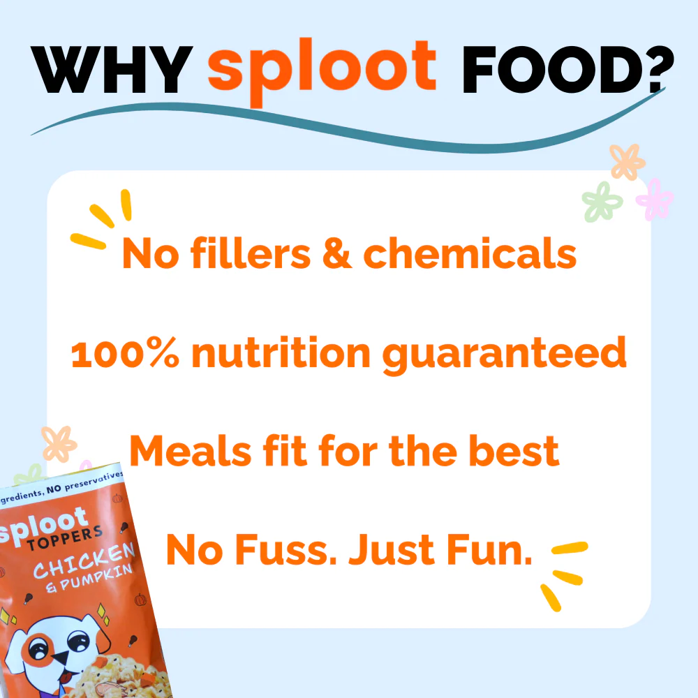 Sploot Chicken and Pumpkin Flavour Real Chicken Chunk in Gravy Dog Wet Food - Image 4