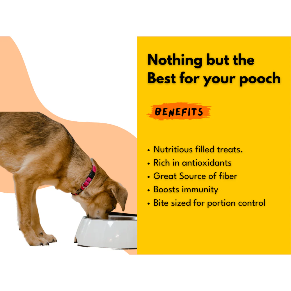 Sploot Crunchies Chicken and Cinnamon 100% Human Grade Biscuits Dog Treats - Image 6