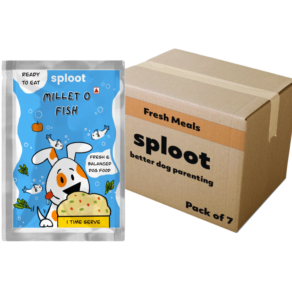 Sploot Meals Millet O Fish Dog Wet Food - Image 8