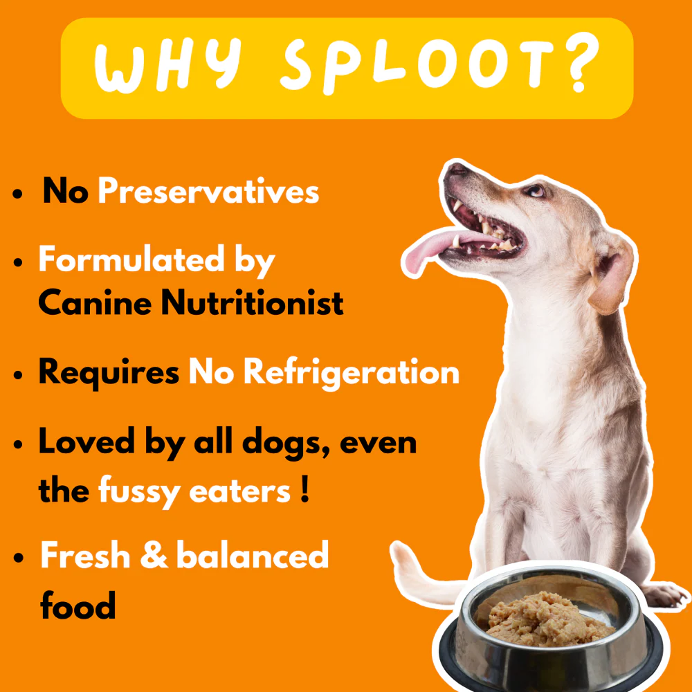 Sploot Meals Mix Recipe Dog Wet Food - Image 4