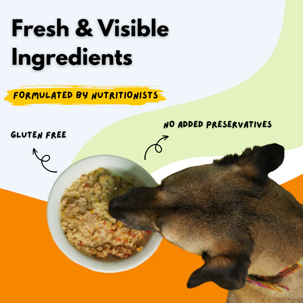 Sploot Meals Punchy Paneer and Egg Dog Wet Food - Image 5