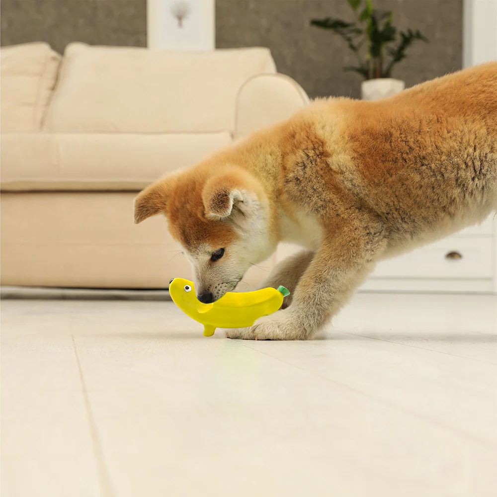 Squeeezys Latex banana Squeaky Chew Toy for Dogs (Yellow) - Image 10