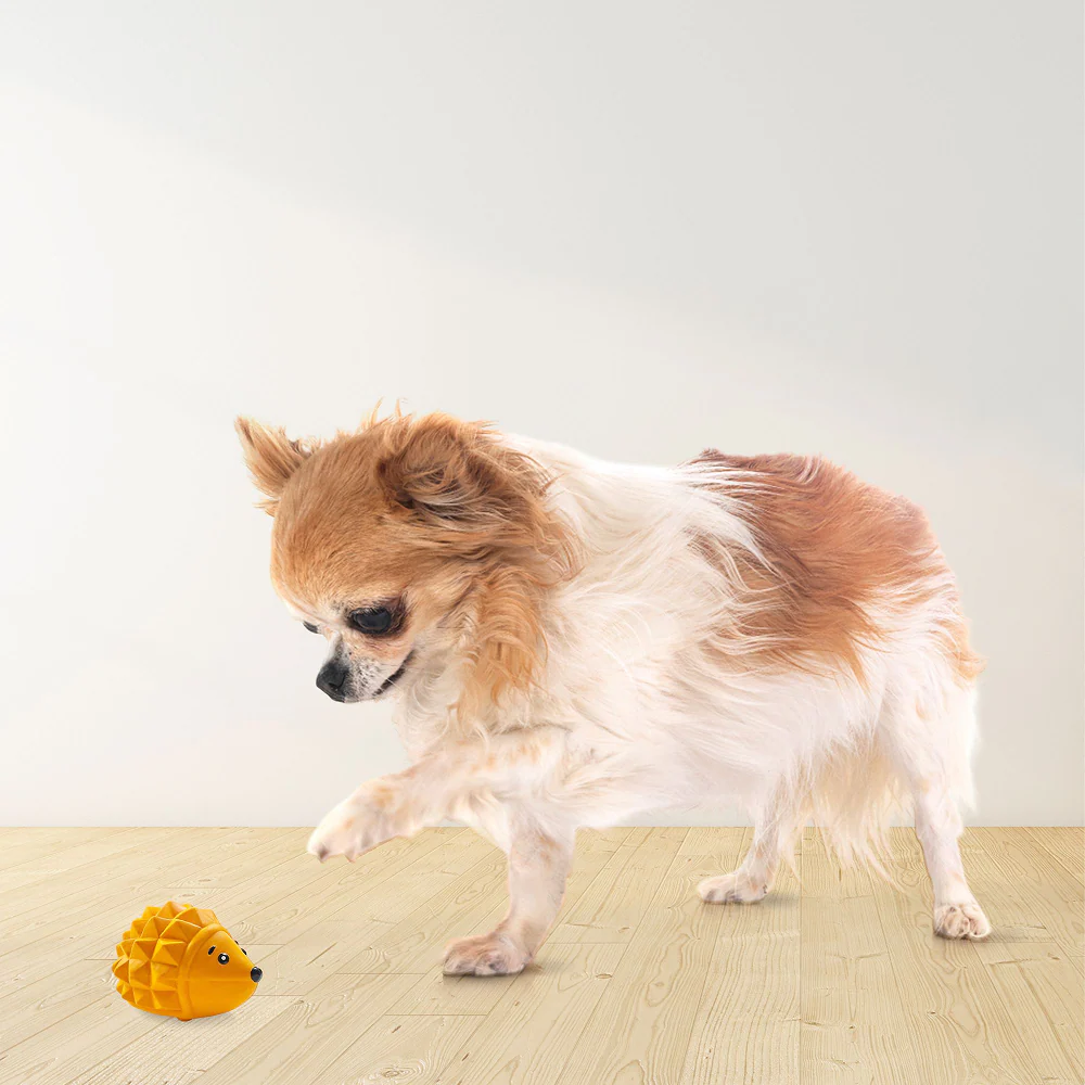 Squeeezys Latex Hedgehog Squeaky Chew Toy for Dogs (Orange) - Image 10