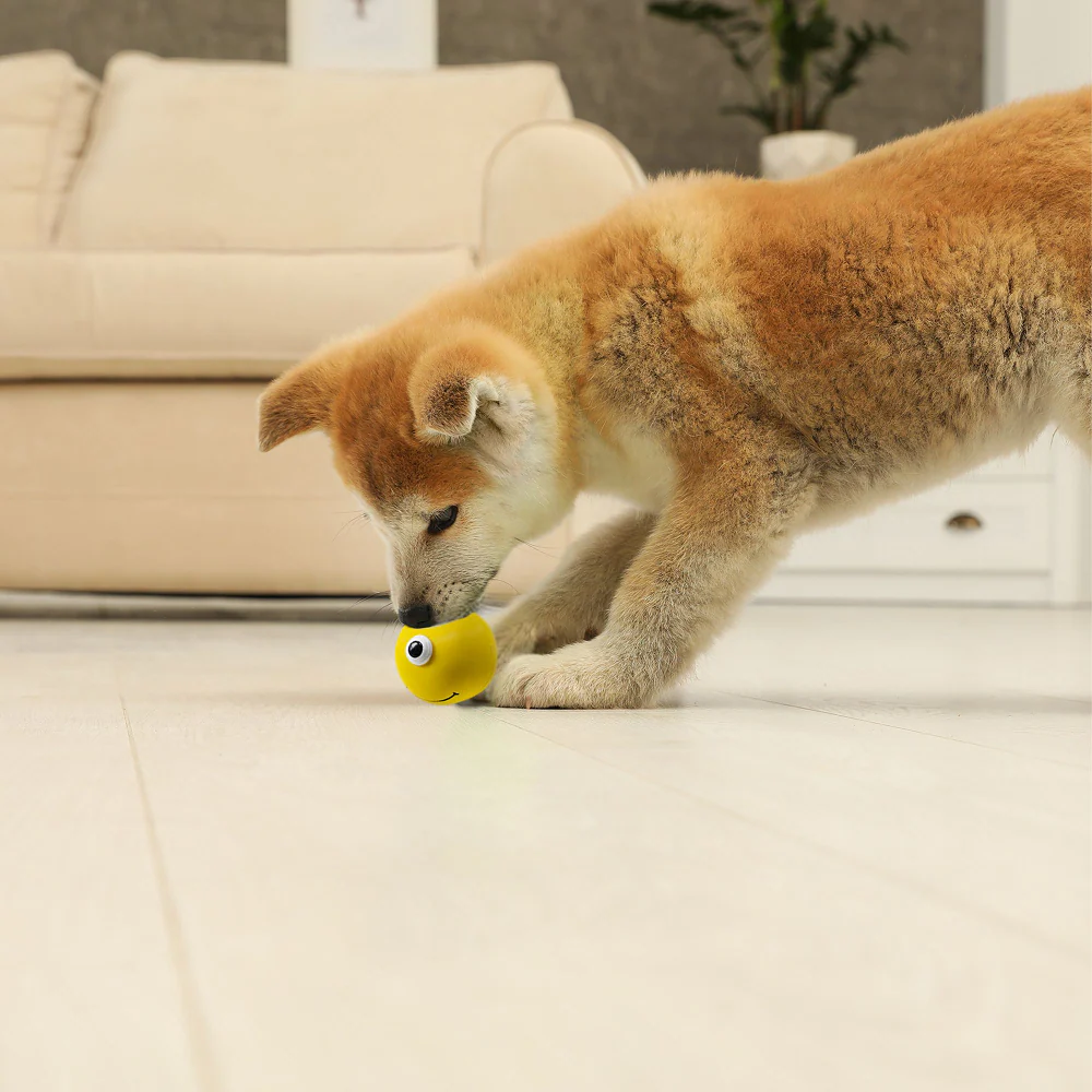 Squeeezys Latex Monster Ball Chew Toy for Dogs (Yellow) - Image 10