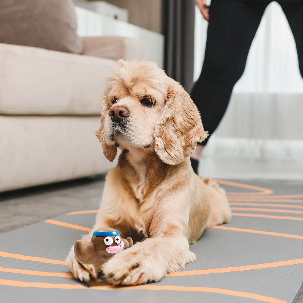 Squeeezys Latex Monster Squeaky Chew Toy for Dogs (Brown) - Image 10