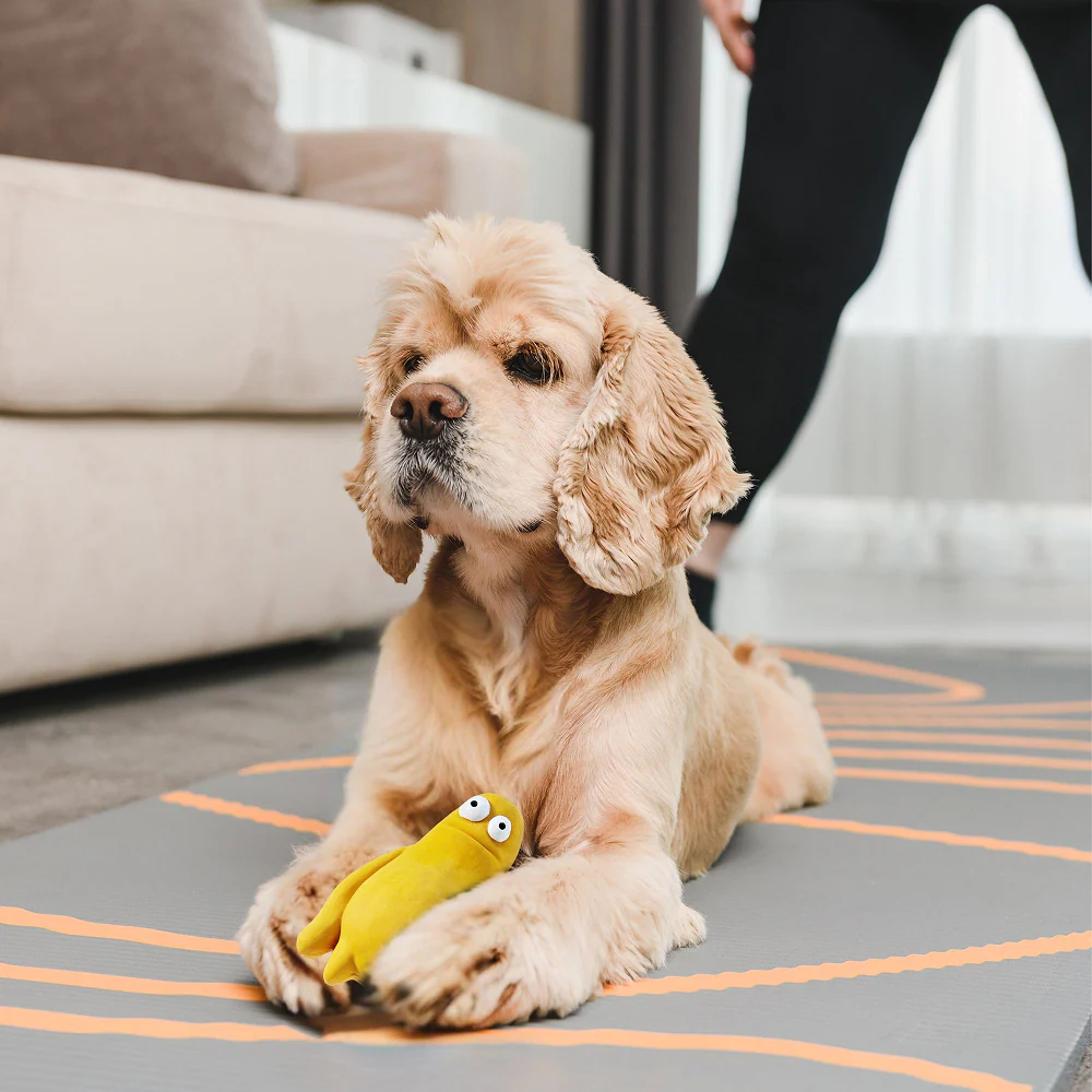 Squeeezys Latex Monster Squeaky Chew Toy for Dogs (Yellow) - Image 10