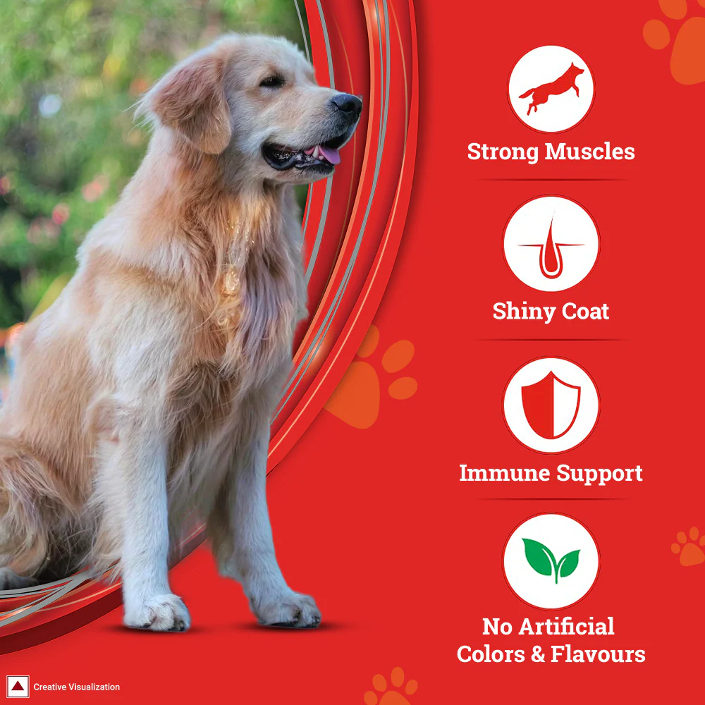 Purina SuperCoat Chicken Adult All Breed Dog Dry Food - Image 6