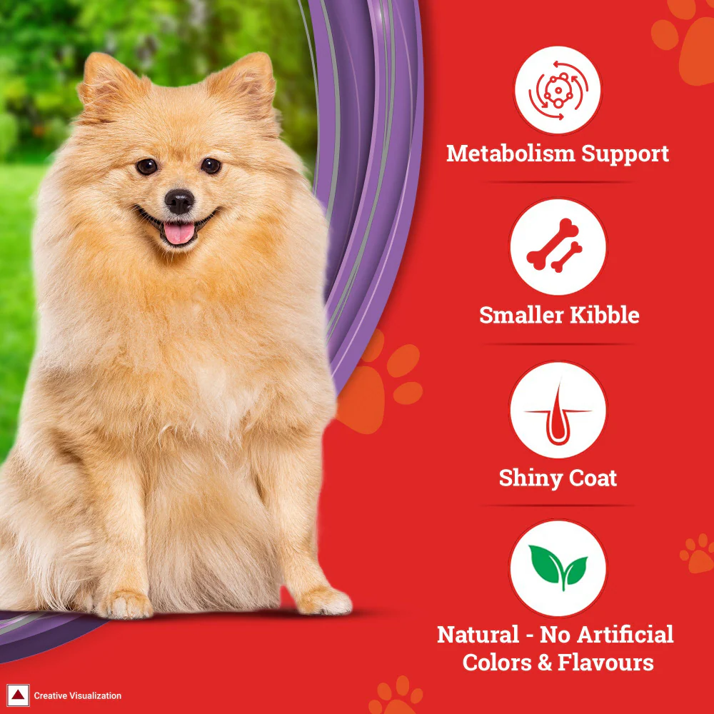 Purina SuperCoat Chicken Adult Small Breed Dog Dry Food - Image 5