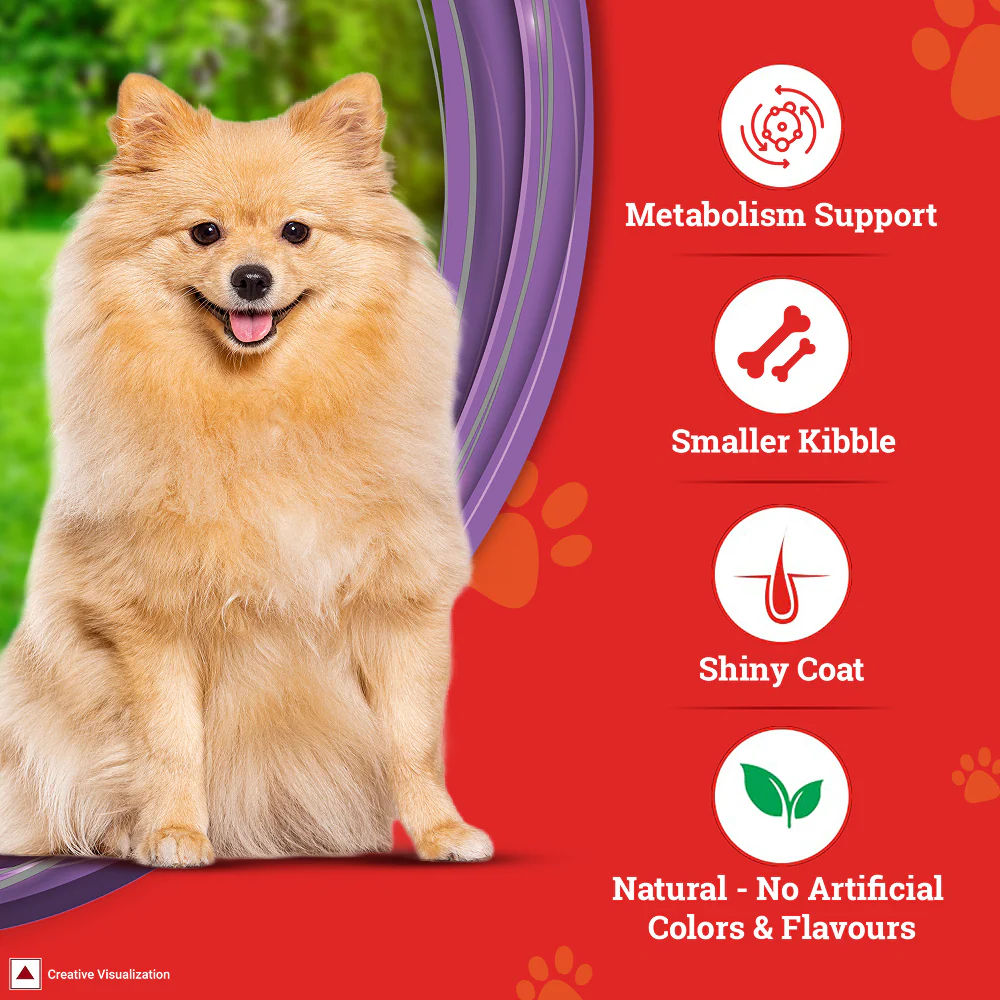 Purina SuperCoat Chicken Adult Small Breed Dog Dry Food - Image 5