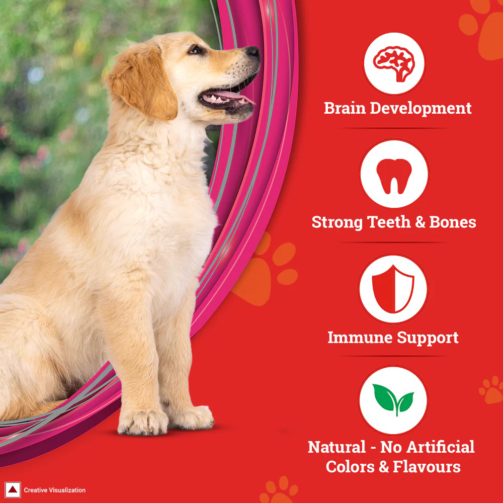 Purina SuperCoat Chicken Smartblend Puppy Dog Dry Food (Up to 12 months) - Image 5