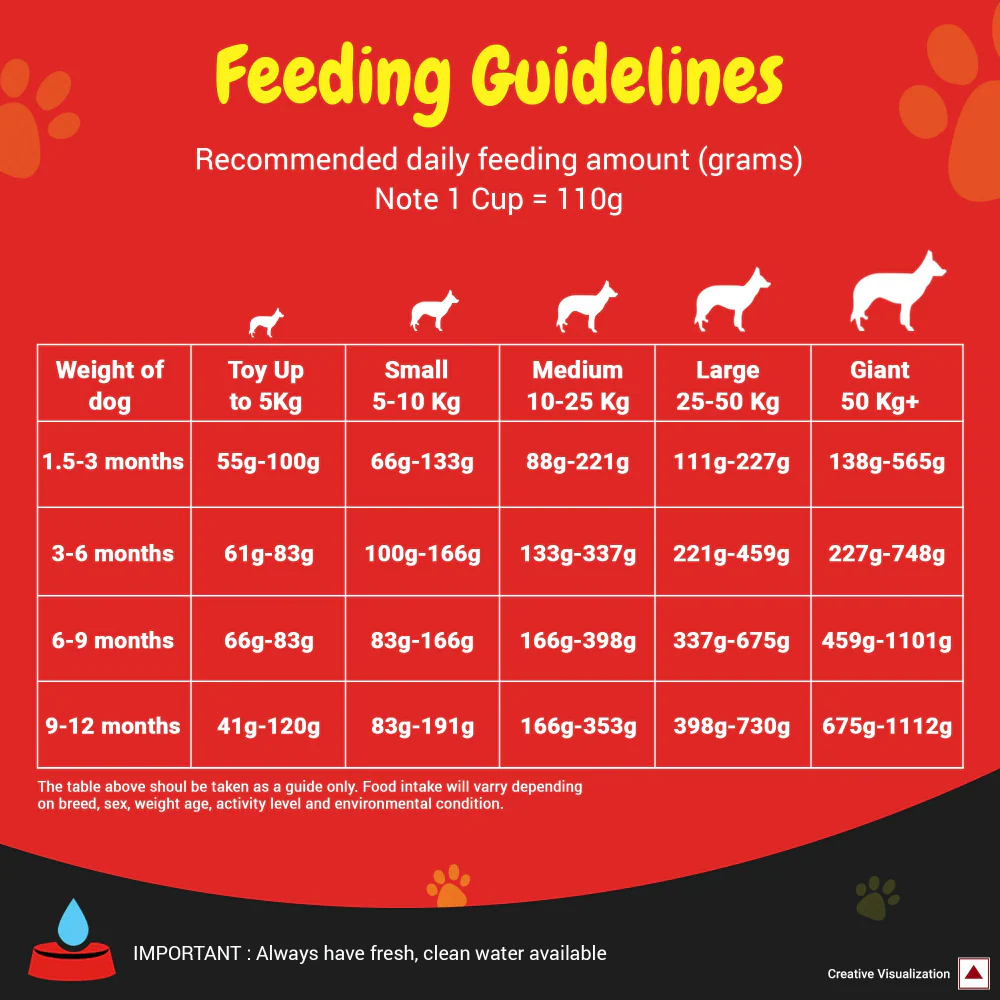 Purina SuperCoat Chicken Puppy Dry Food - Image 4