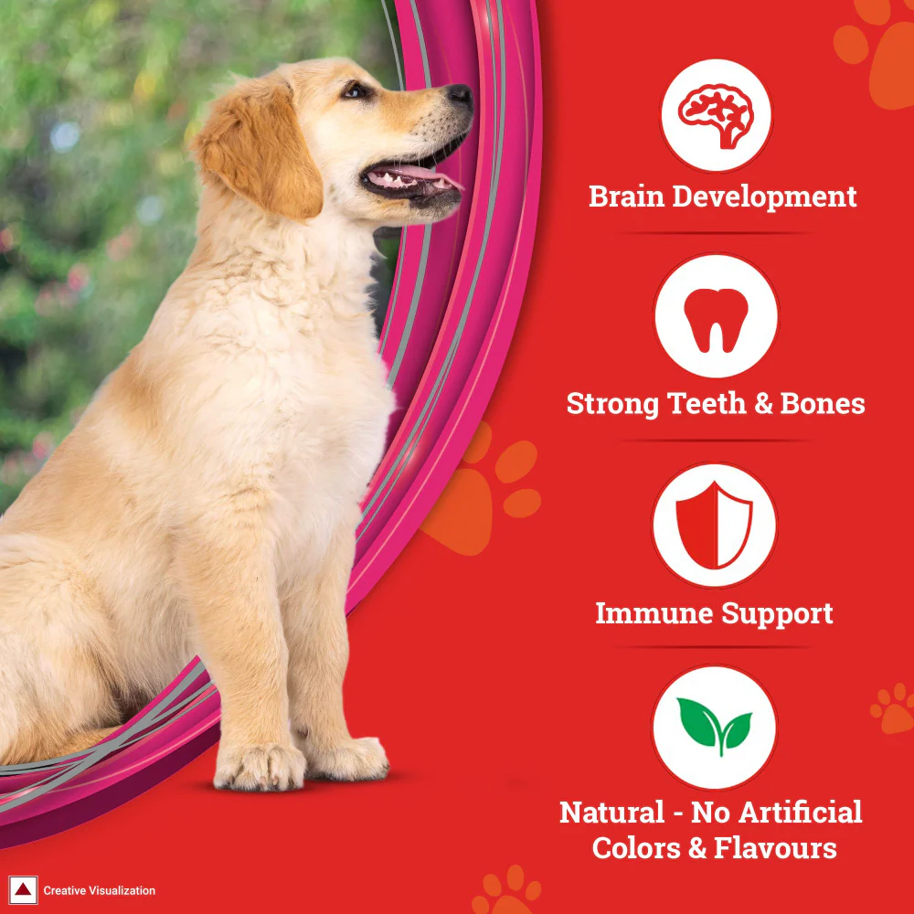 Purina SuperCoat Chicken Puppy Dry Food - Image 5