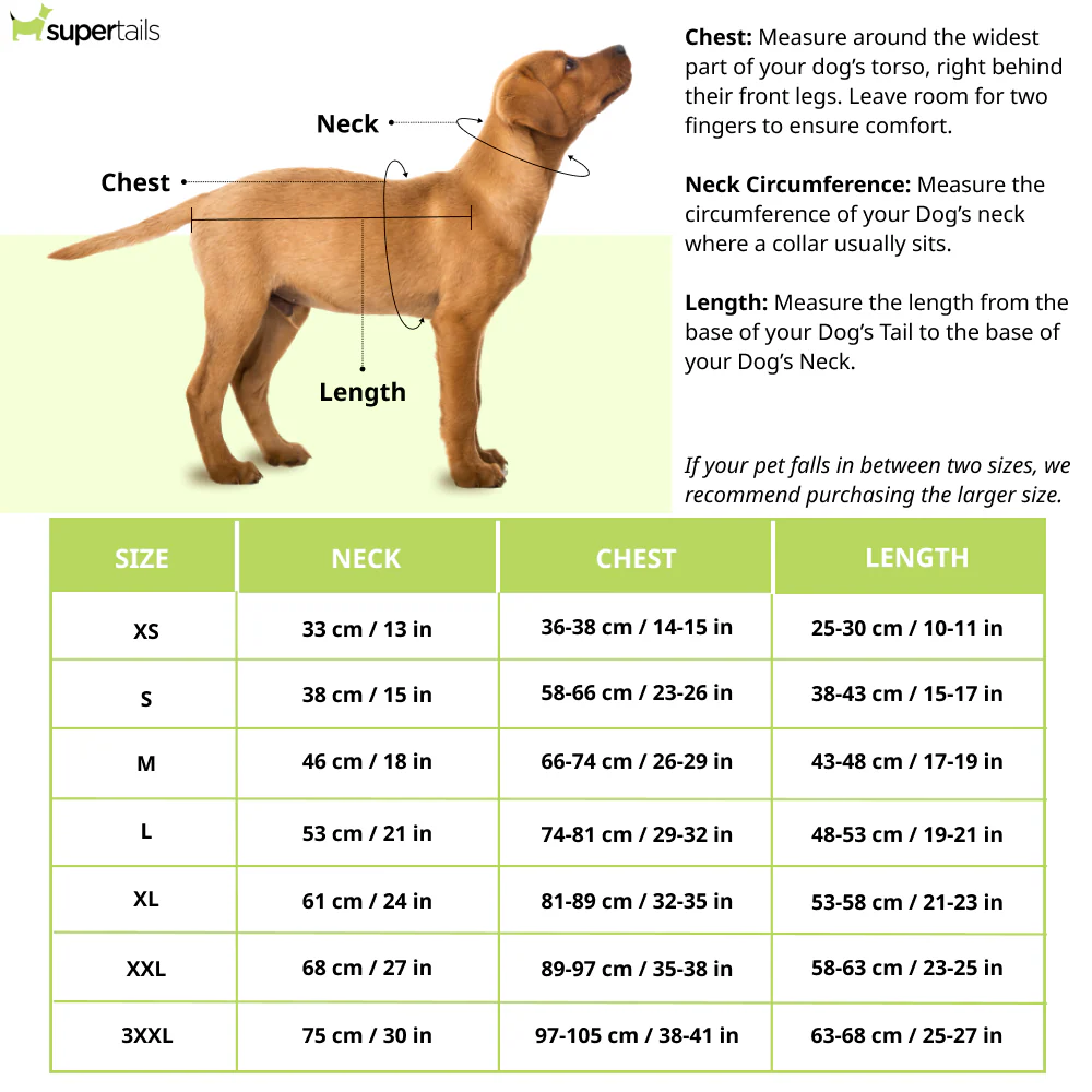 Supertails Bengaluru FC Jersey for Dogs and Cats - Image 2